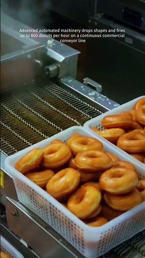 Automated Donut Making Machines Frying 800 Pieces Per Hour Fast