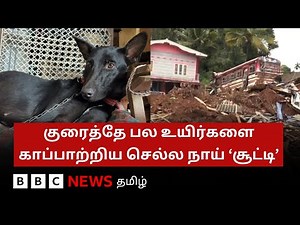 இந்த செல்ல நாய் பல உயிர்களை காப்பாற்றியது எப்படி? | Sri lanka Landslide