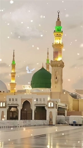 beautiful naat shareef #foryou #trending #viral #tiktok #islamic #islamicvideo #naat #islam #goviral