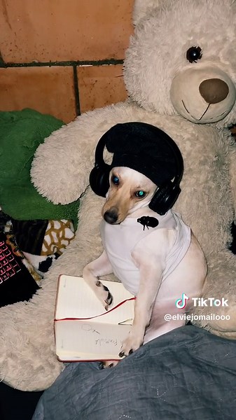 Me falta el ai….. #elviejomailo #parati #fyp #tiktok4fun #fyppppppppppppppppppppppp