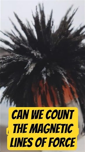 magnetic lines of force in 3d#experiment in magnetic lines of firce