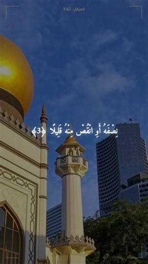 Surah Al-Muzzammil Full of Humility 🕋 Hani Ar-Rifai | Verses of Provision and Relief 💰