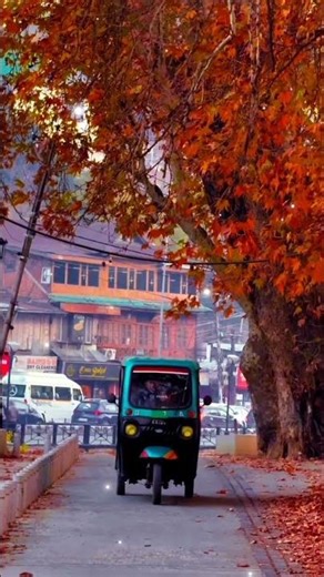 "Teri Umid " Song|Atif Asalam|#shortsfeed #shortvideo #shorts