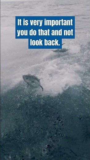 At some point in your life someone will tell you to buy sustainable seafood...