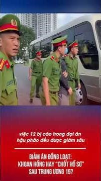 MASSIVE SENTENCE REDUCTIONS: LENIENCY OR "CLOSING THE CASE" AFTER THE 15TH CENTRAL COMMITTEE RESO...