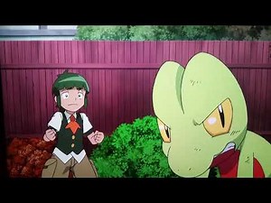 Treecko evolves 木守宮進化