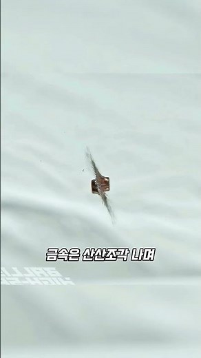 세상에서 가장 완벽한 타이밍의 실험