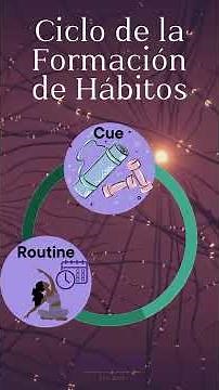 El ciclo de hábitos que cambiará tu vida✨