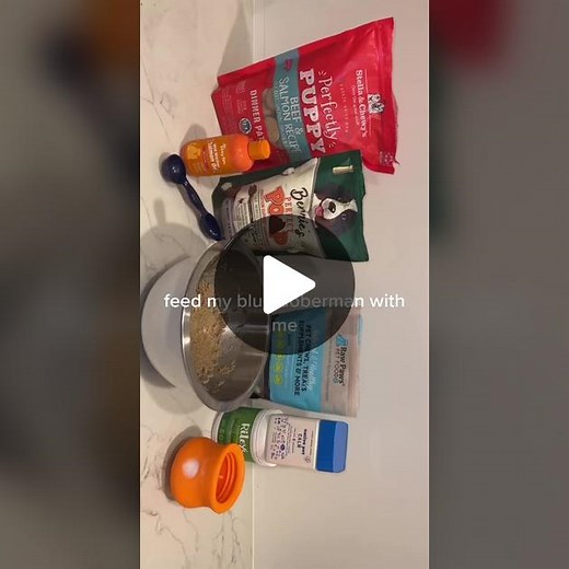 #bluedoberman #doberman #dobie #dobermans_of_tiktok #dogeating #dogeatingasmr #dogfeedingroutine #dobermanfeeding #rawfeddog #dogdinner #asmrfood #dobermaneating