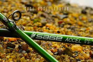 Sage Accel Review in 2025 - Fly Rods