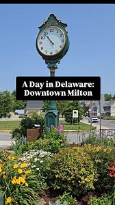 Discover the charm of Historic Downtown Milton, Delaware! 🌳 Just minutes from stunning beaches, this hidden gem offers shady trails, a adorable town park, and the perfect playground for kids—Paradise Regained! ✨ (Have you guessed the namesake yet?) 📖 #MiltonDelaware #HistoricDowntown #FamilyAdventure #Delawarebeaches #delawaresummer | 302 Life