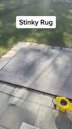 Ultimate Carpet Cleaning Tips: How to Revive Your Rug!