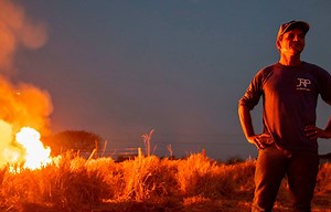 The foods that could prevent climate disasters