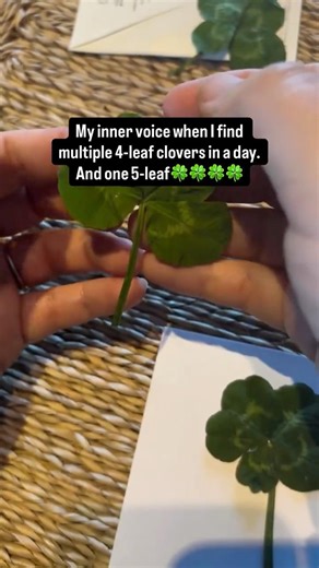 What I'm doing with all my 4-leaf Clovers (and one 5-Leaf!)