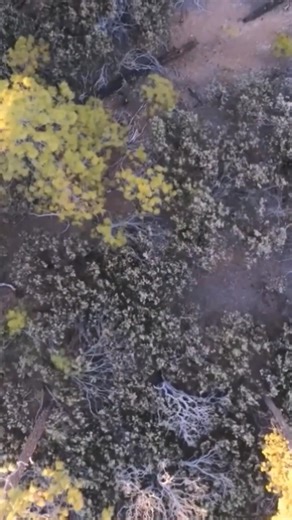 The Worst Terrain To Navigate #SERE #survival