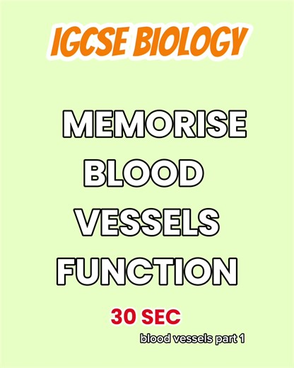 BLOOD VESSELS : PART 1 #studytok #igcse #gcse #biology #science