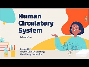PSLE Science - Human Circulatory System