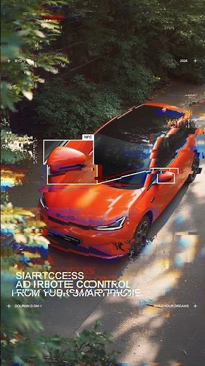 CAR DETAILS - BYD DOLPHIN G DM-i