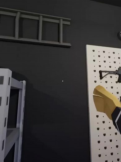 One-Armed Robber Gaming in a Mansion