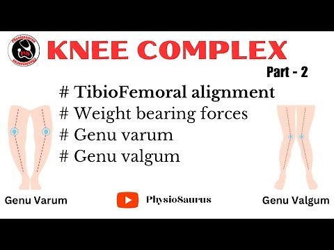 Tibiofemoral alignment and weight bearing forces | Knee joint biomechanics |