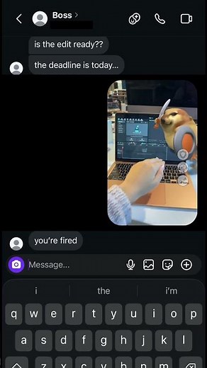 What the Dog Doin... in Filmora?