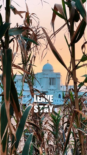 YASSINE REDISSI | To leave or to stay? It’s an eternal dilemma that has been haunting me since forever! Sometimes I think that it’s completely settled,... | Instagram