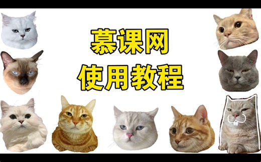 慕课网使用教程