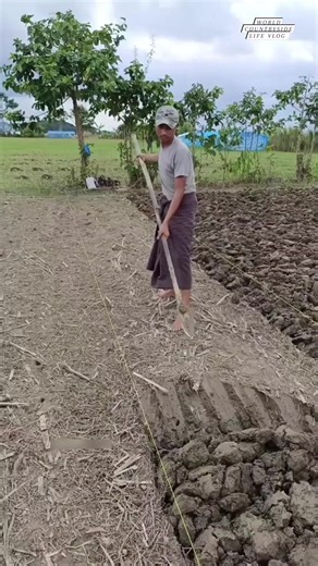 429K views · 2K reactions | Eco-friendly energy!  In Turkey, cow dung is transformed into biogas, a clean cooking fuel, through anaerobic digestion. #worldcountrysidelifevlog #SustainableEnergy #BiogasRevolution #RenewableResources DISCLAIMER NO COPYRIGHT INFRINGEMENT INTENDED | World Countryside Life Vlog | Facebook