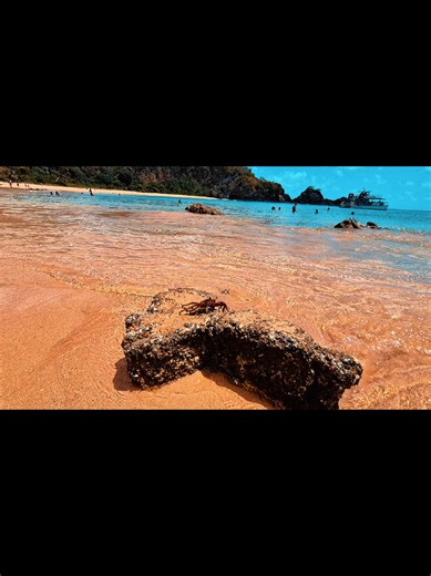 Experience the Chill Vibes of Fernando de Noronha