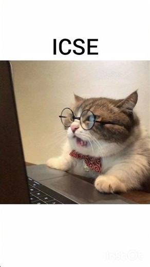 aapka bhi hoga 😅😆 #cat #catmeme #funny #viral #cute #comedy #trending #shorts