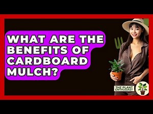 What Are The Benefits Of Cardboard Mulch? - The Plant Enthusiast