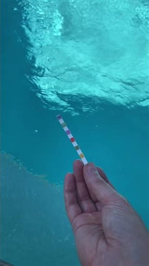 Clorox Pool Test Strips: Easily Manage Your Pool!
