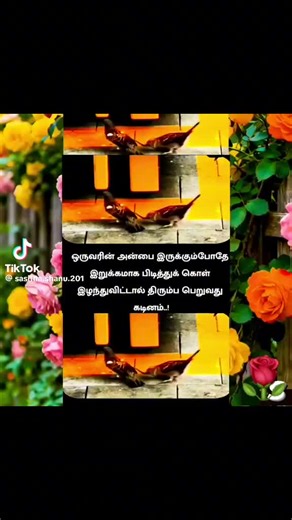 🩵sajani🩵 (@sajany005)’s videos with original sound - 🩵sajani🩵