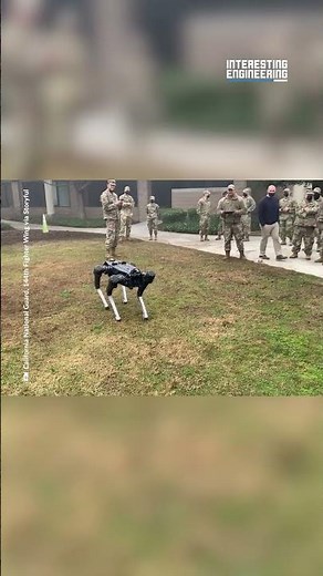 Robot Patrol Dog Meets the Military Police