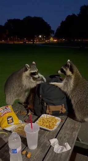 “They’ve done this before.”