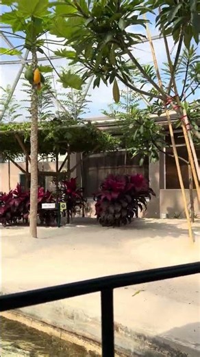 LIVING WITH THE LAND RIDE AT EPCOT | Walt Disney World in Orlando, Florida