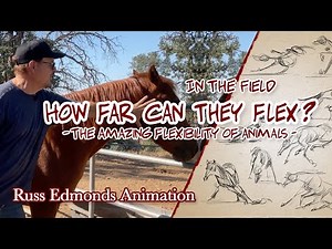 How Far Can They Flex? - The Amazing Flexibility of Animals for Animation / Russ Edmonds