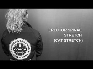 Erector Spinae Stretch