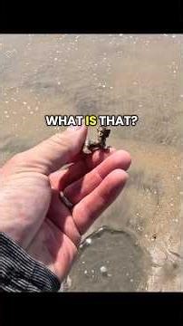 What could it be? 🐘 #metaldetecting #beachmetaldetecting #ganesha #hindu