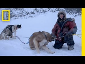 Dog Sledding in the Winter Terrain | Life Below Zero
