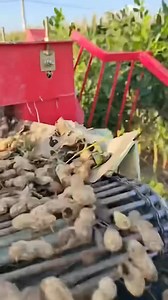 This is a peanut 🥜 harvester attached with a walking tractor | Denraks Machinery