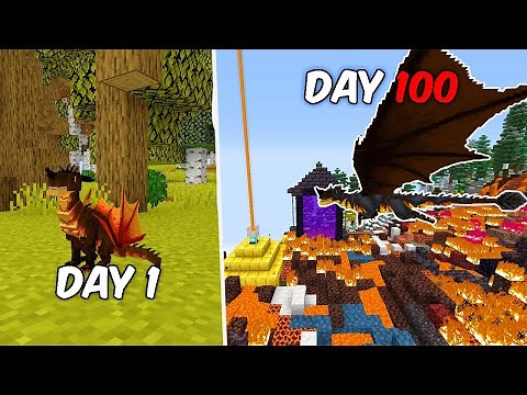 I survived 100 days in minecraft as a fire dragon