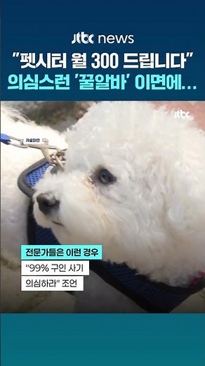 "통상적인 급여보다 높다면 의심하라"…보이스피싱 조직들 '구인글' 수법 #JTBC #Shorts