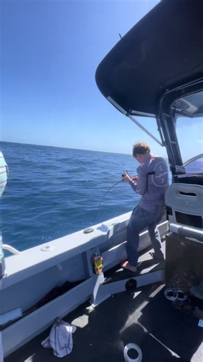 Big King going 120. @Beaus fishing #Fish #Fishing #Viral #TikTok #Australia #Trending #ForYouPage #Like #This #Post #Algorithm #Cough #Laura.