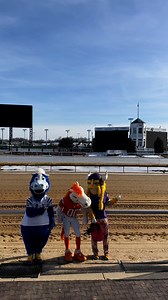 🐎 | Blue Indianapolis Colts Mascot