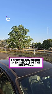 That is enough to cause a crash surely 🤣 | Common Entertainment