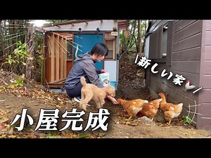 【移住34】古民家にスペイン風ニワトリ小屋完成！田舎暮らしわんこと夫婦の物語 Japanese old folk house country life