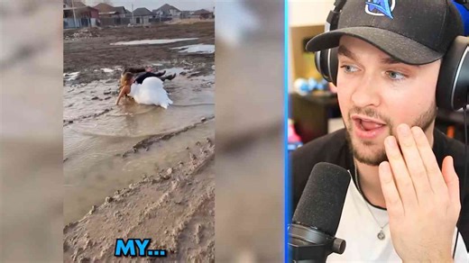 Nature waited patiently before making its point