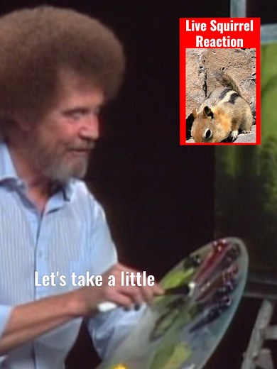 Bob Ross Labs Unveils Live Reacting Squirrel!