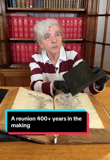 How often do you get to witness a reunion 400  years in the making? Joan of Archives shares one of our rarest treasures: a 1583 edition of Matthioli’s herbal, bursting with hand-etched wood-block plant illustrations. Best of all, State Library was able to reunite the book with the original woodblock used to print the cornflower on page 462. The block was inked again in the 1980s to create new impressions, and when the old and new prints sit side by side, you can see the impact of centuries carve